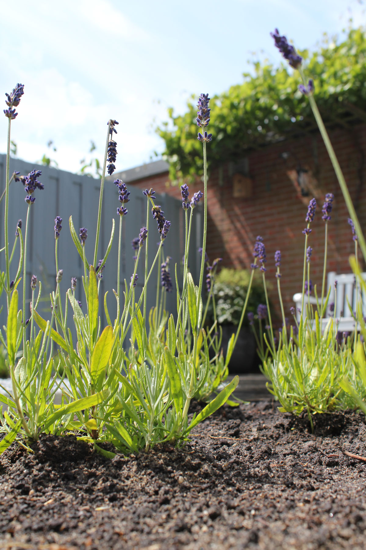 Derwort-Hoveniers-Project-26 (18)
