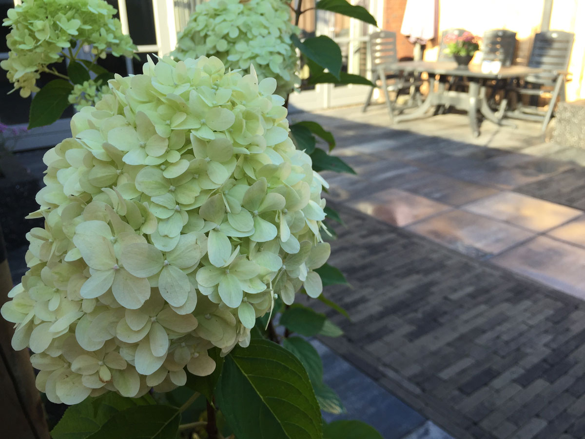 Tuin met terras en border in Bergschenhoek