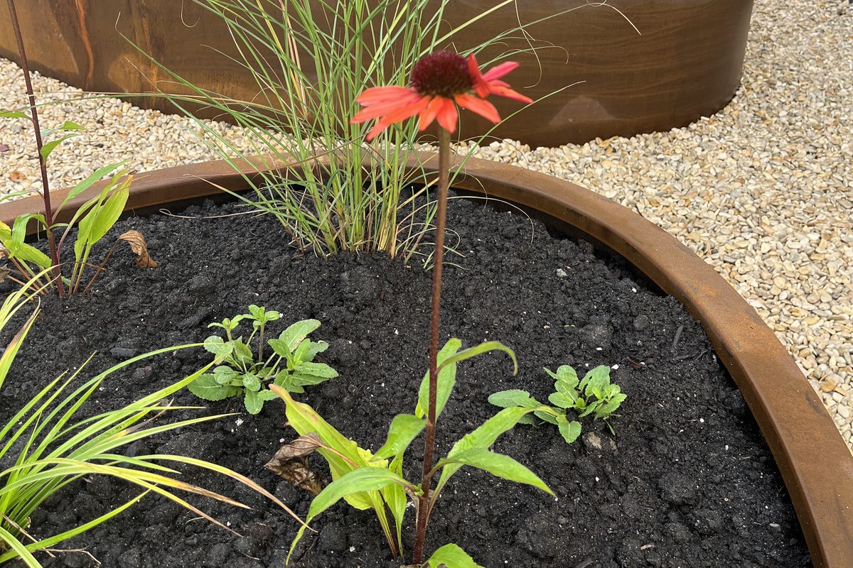 Ronde borders met cortenstaal rand en beplanting