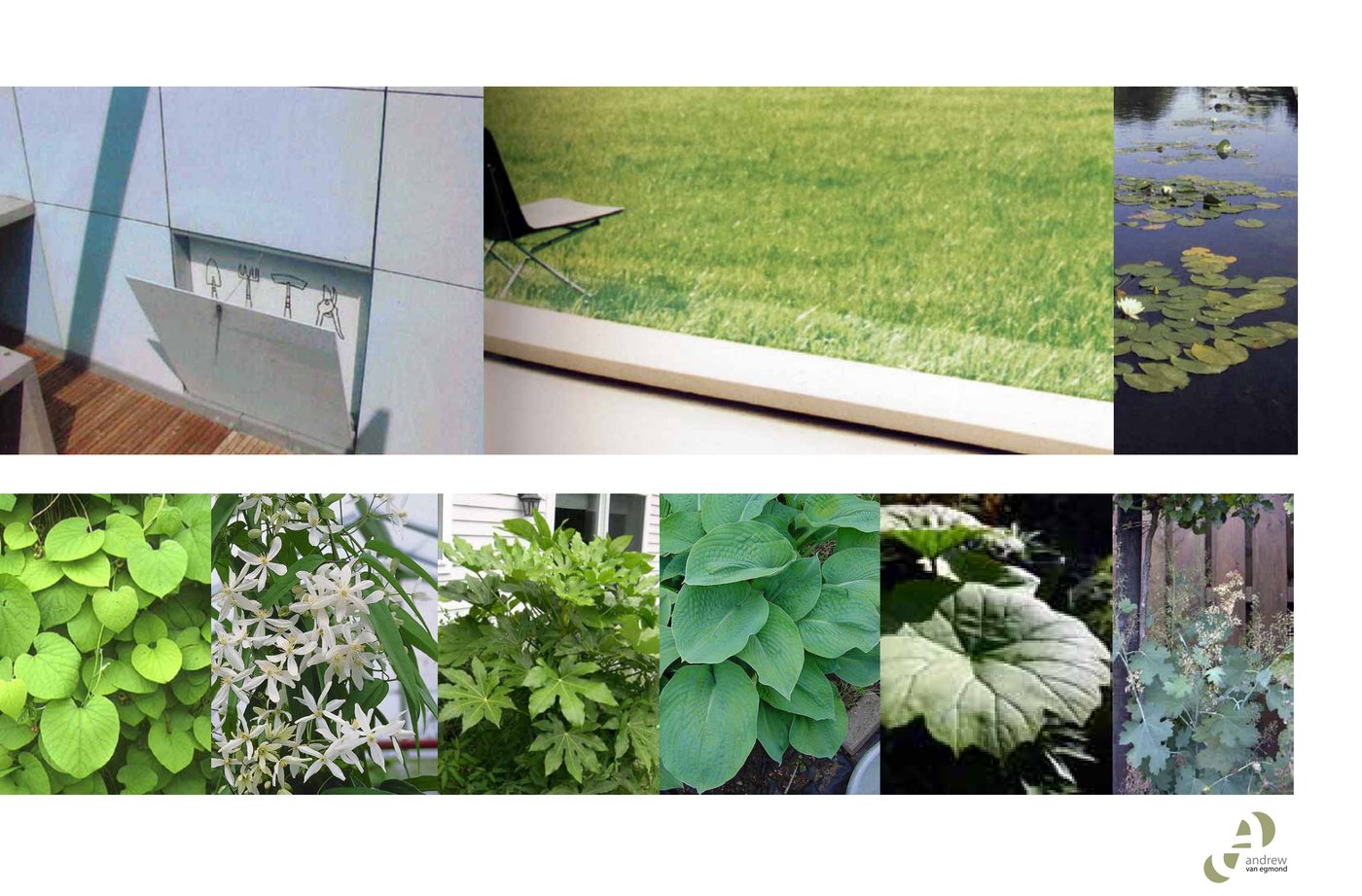 Schetsontwerp: beplanting en materialen